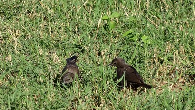 DSC00639-s.jpg