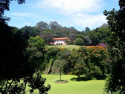 DSC00760-s.jpg