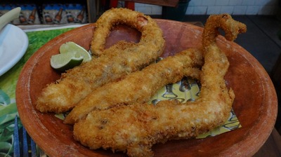 DSC01170.jpg