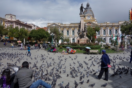 DSC01602-s.jpg