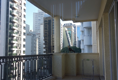 DSC01669-s.jpg