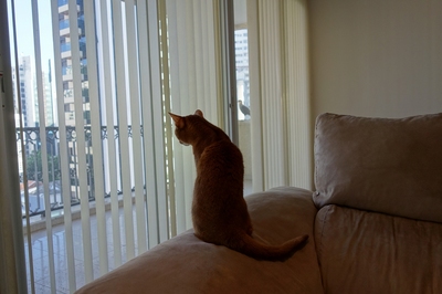 DSC01675-s.jpg