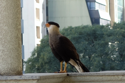 DSC01679-s.jpg