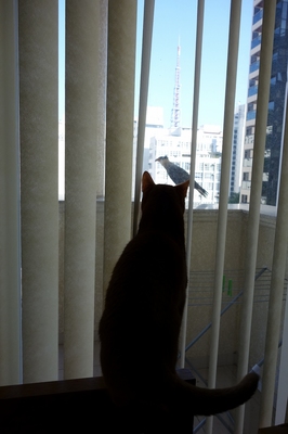 DSC01681-s.jpg