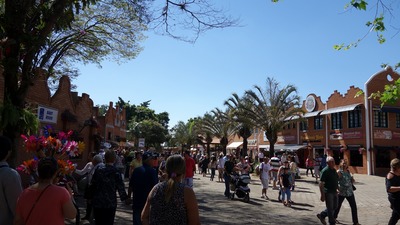 DSC02556.jpg