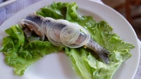 DSC02577.jpg