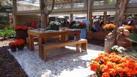 DSC02592.jpg