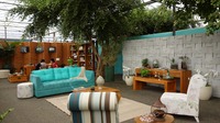 DSC02595.jpg
