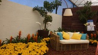 DSC02604.jpg