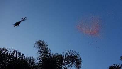 DSC02638.jpg