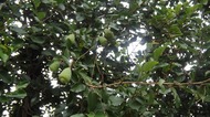 DSC04061-s.jpg