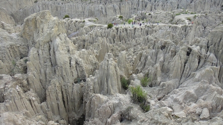 DSC04174-s.jpg