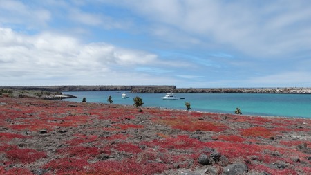 サウスプラザ島.jpg
