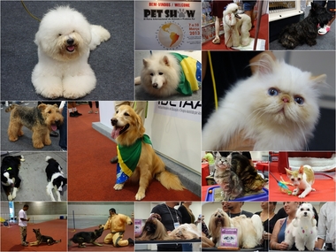 Petshow2013.jpg