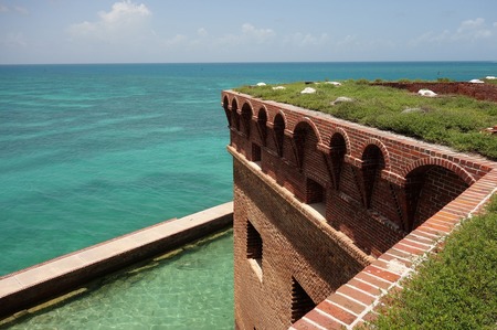 dry turturga (1).jpg