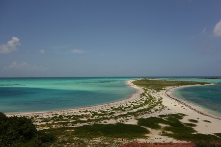 dry turturga (9).jpg