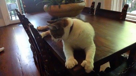hemingway (3).jpg